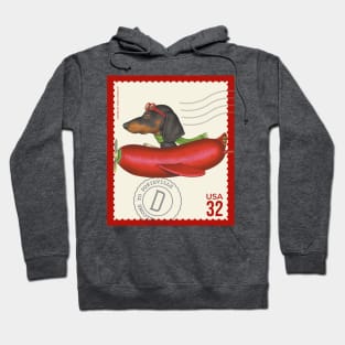 Funny Dachshund Doxie Dog flying a cute hotdog plane Hoodie